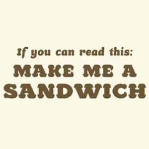 THREADLESS GEEKY HUMOR TEE IF YOU CAN READ THIS MAKE ME A SANDWICH L
